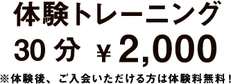 体験トレーニング
